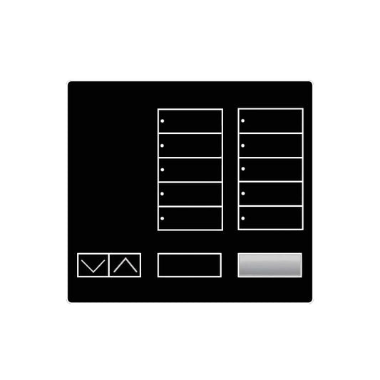 Lutron Radiora2 Large 10 Button  RR-T10RL-MN